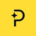 Paddle Company's Featured Image